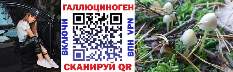 даркнет сайт  Алексин  Галлюциногенные грибы ЛСД 