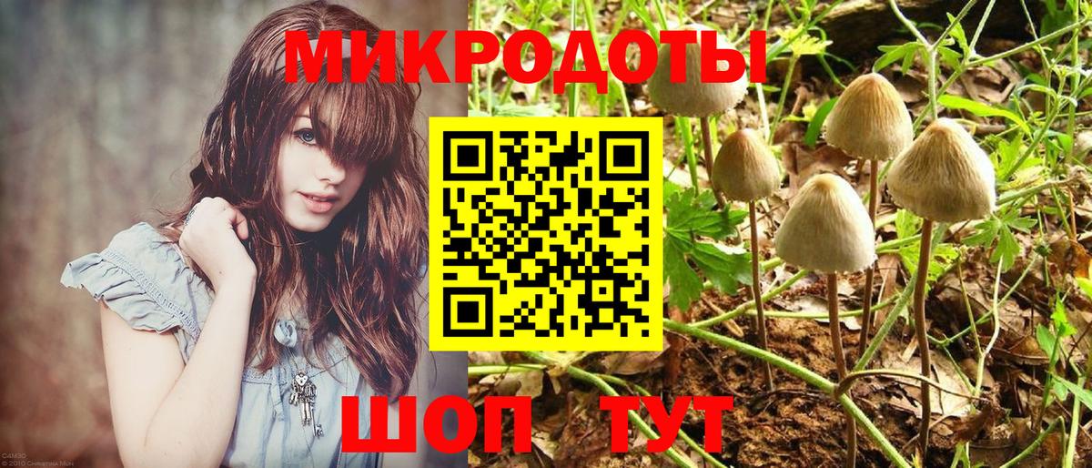 Псилоцибиновые грибы мицелий  Вход с VPN  Алексин 